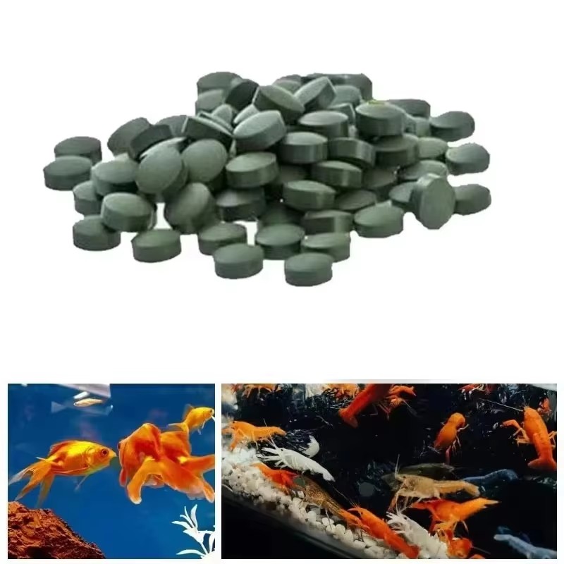 Aquarium Fish Holiday Food - 100-3000pcs Tablet Spirulina Kemurnian Tinggi Kaya