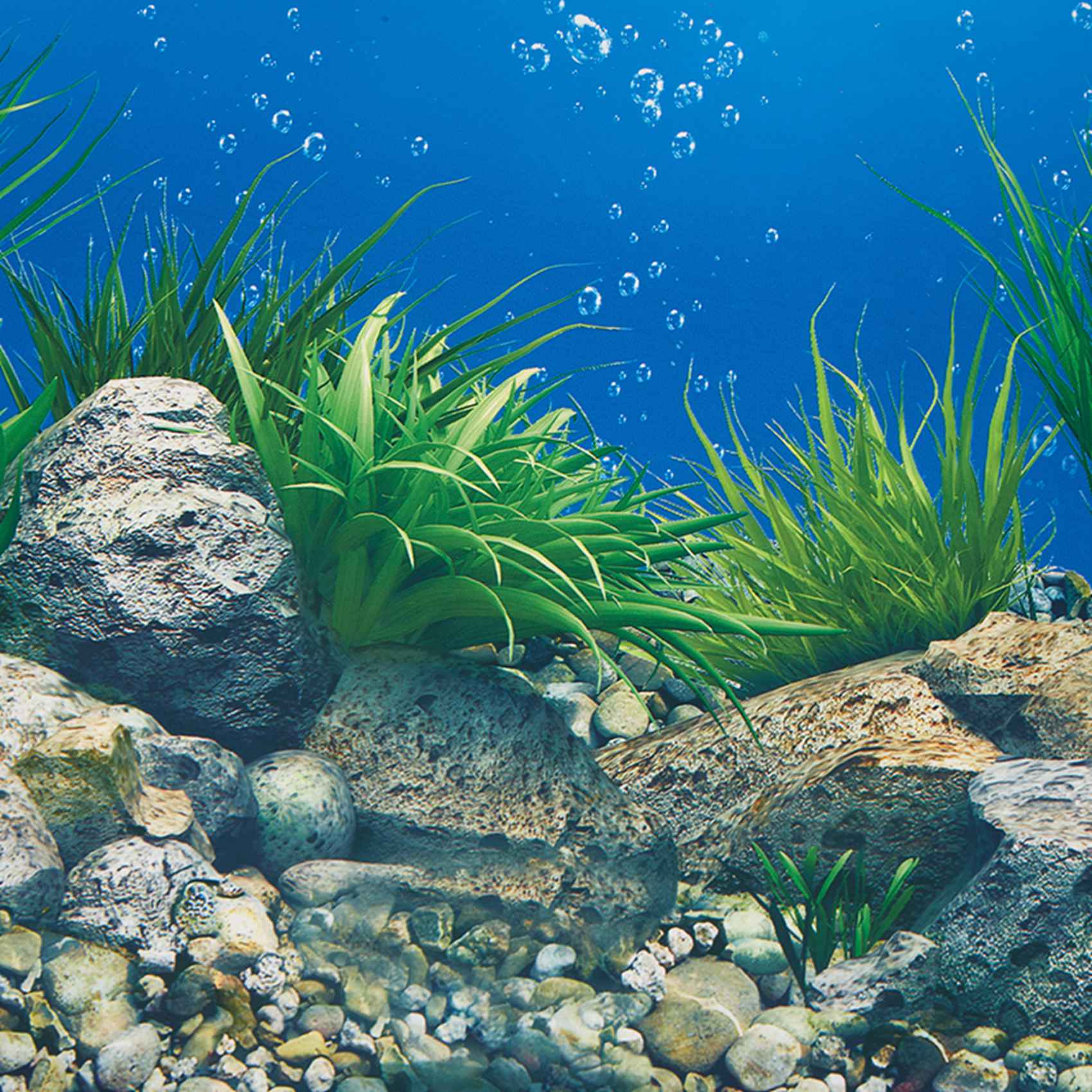 Aquarium Fish Wallpaper Hd - AB33-Kertas Latar Belakang Akuarium Gambar HD