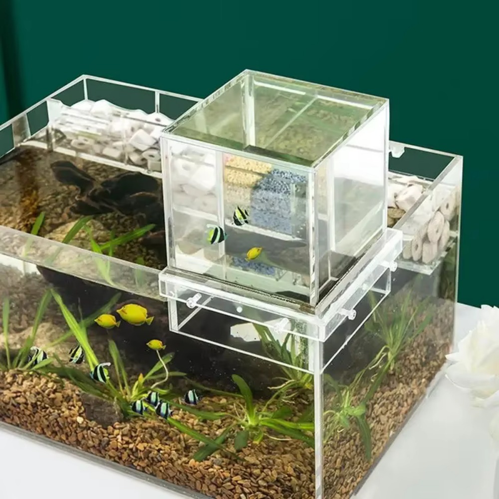 Aquarium Fish Medicine - Akuarium Tekanan Negatif untuk Lanskap Taman,