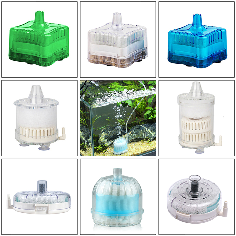 Box Fish In Aquarium - Filter Spong Akuarium Mini Pompa Yang