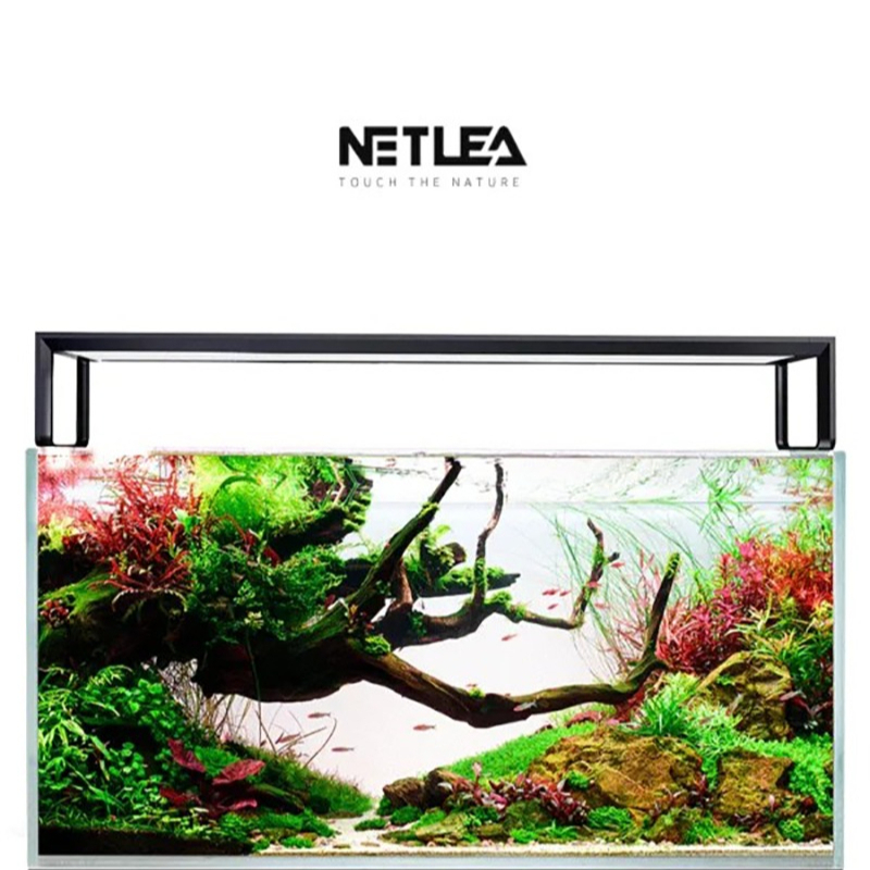 Aquarium Fish Photography - Netlea AT5S V3 Lampu Akuarium Spektrum