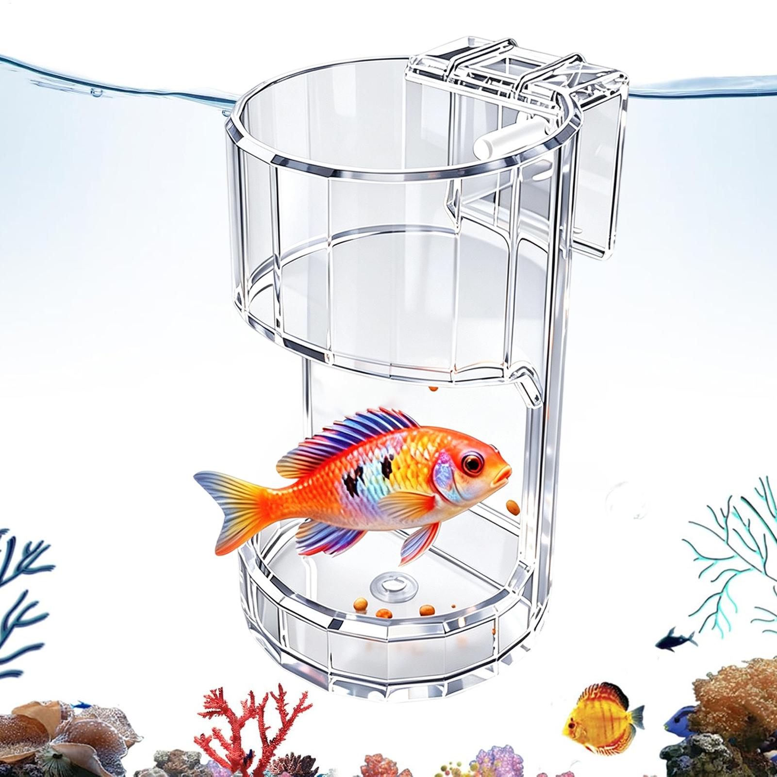 Aquarium Fish Holiday Food - Wadah Makanan Transparan untuk Akuarium, Tempat