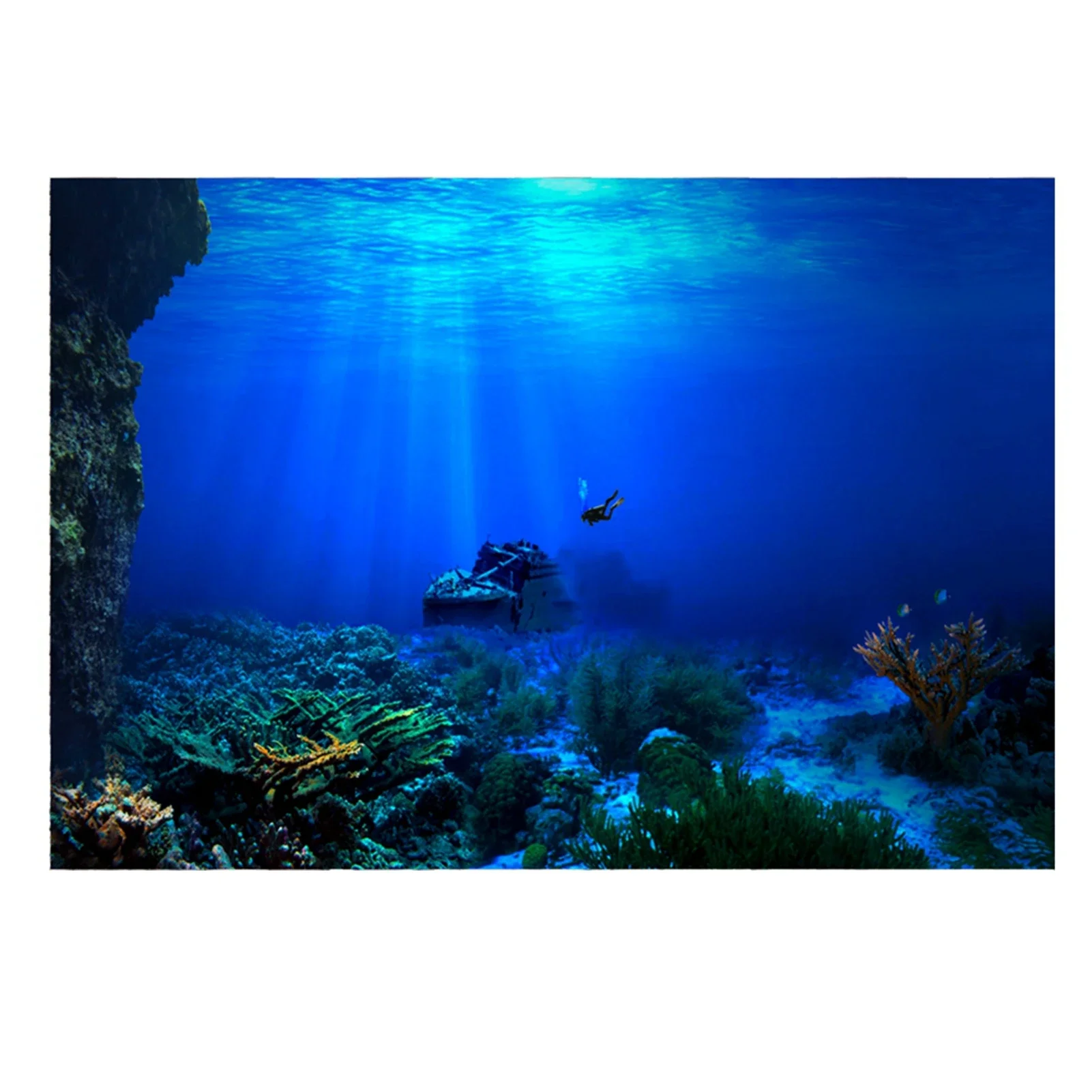 Aquarium Fish Of The World - Hutan hujan akuarium Poster latar belakang