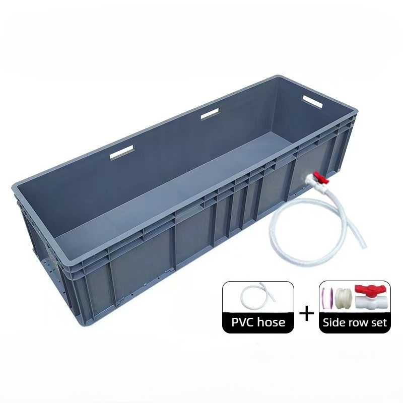 Box Fish In Aquarium - Terarium Kura-Kura Ruang Luas dengan Drainase,