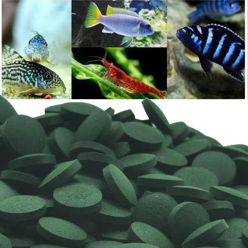 Aquarium Fish Holiday Food - 50/100/300/500 Buah Tablet Spirulina Konsentrat Rumput