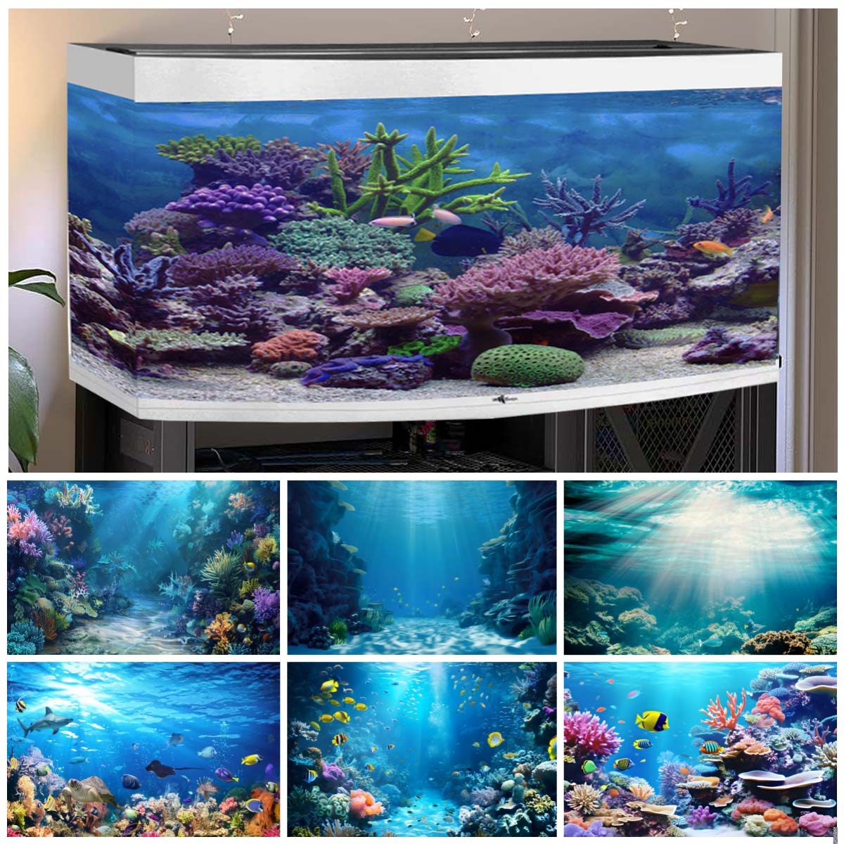 Aquarium Fish Of The World - Latar Belakang Dunia Bawah Laut untuk