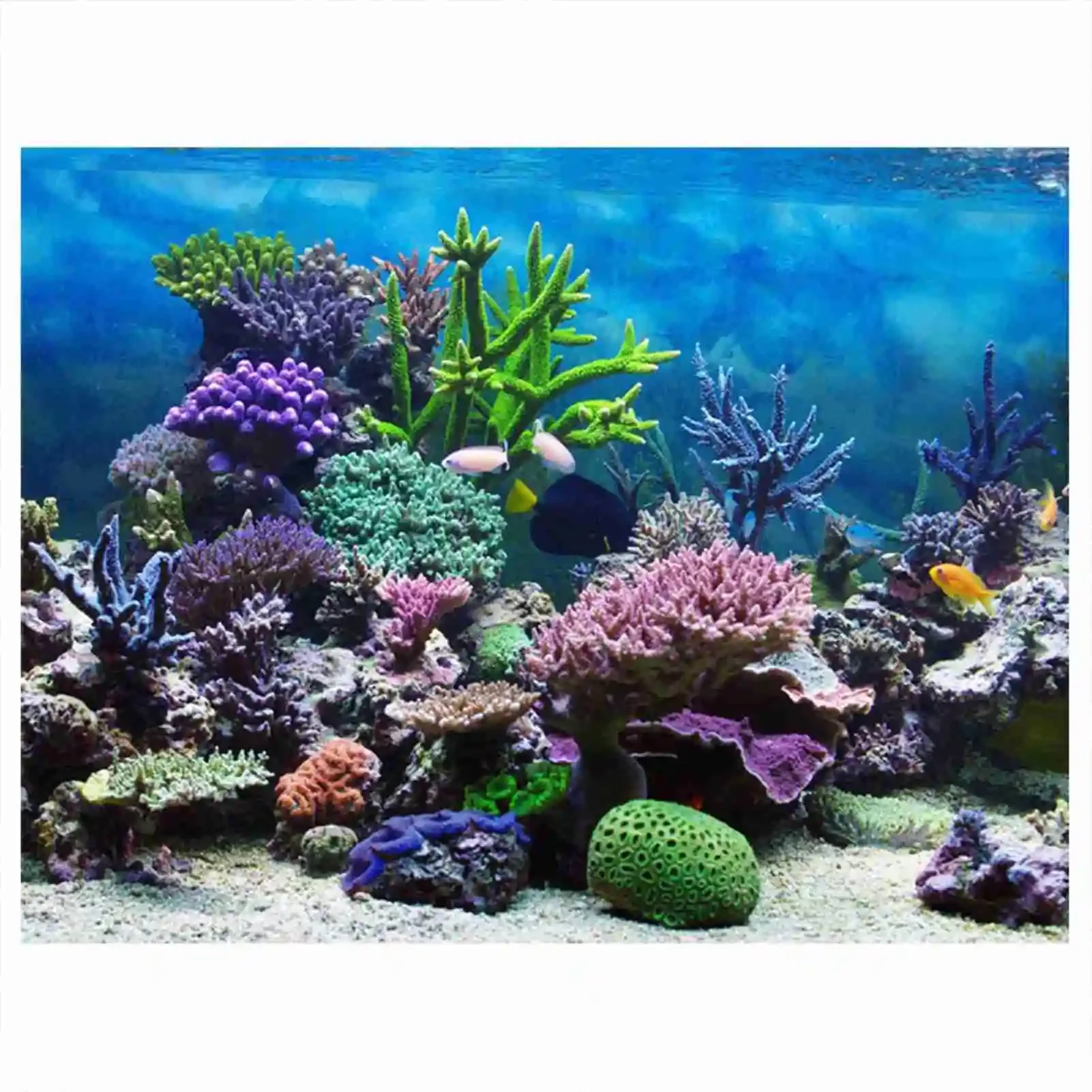 Aquarium Fish Wallpaper Hd - 3D akuarium Poster pemandangan hutan hujan
