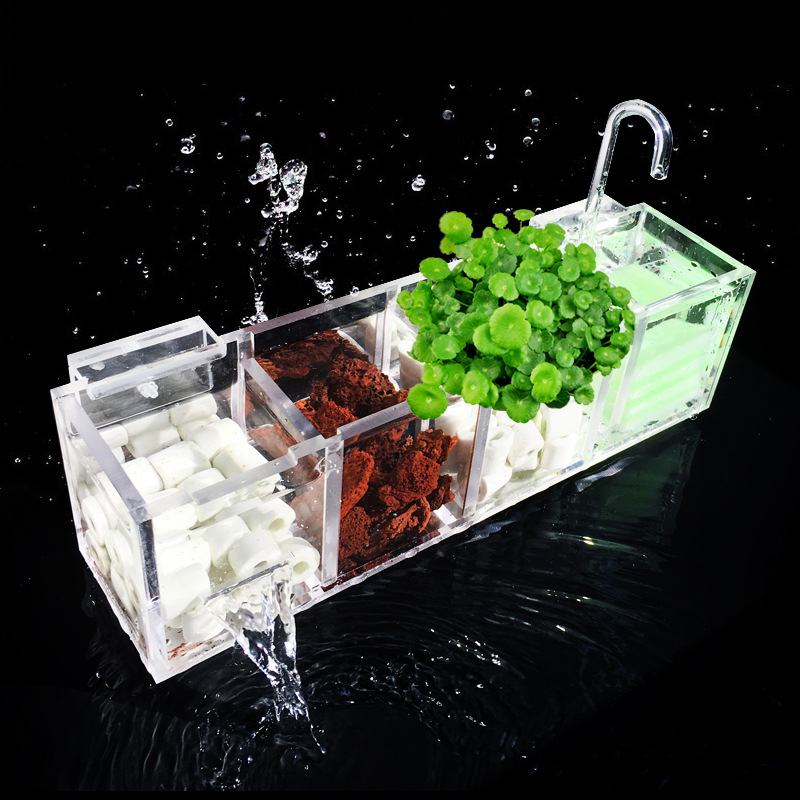 Box Fish In Aquarium - Akuarium Filter Eksternal Kotak Ikan Tangki