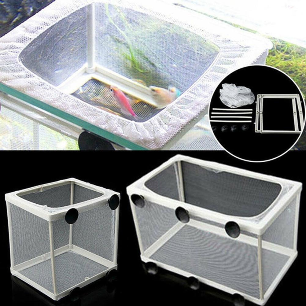 Aquarium Fish Trap - Kotak Isolasi Hatchery untuk Akuarium, Pembiakan