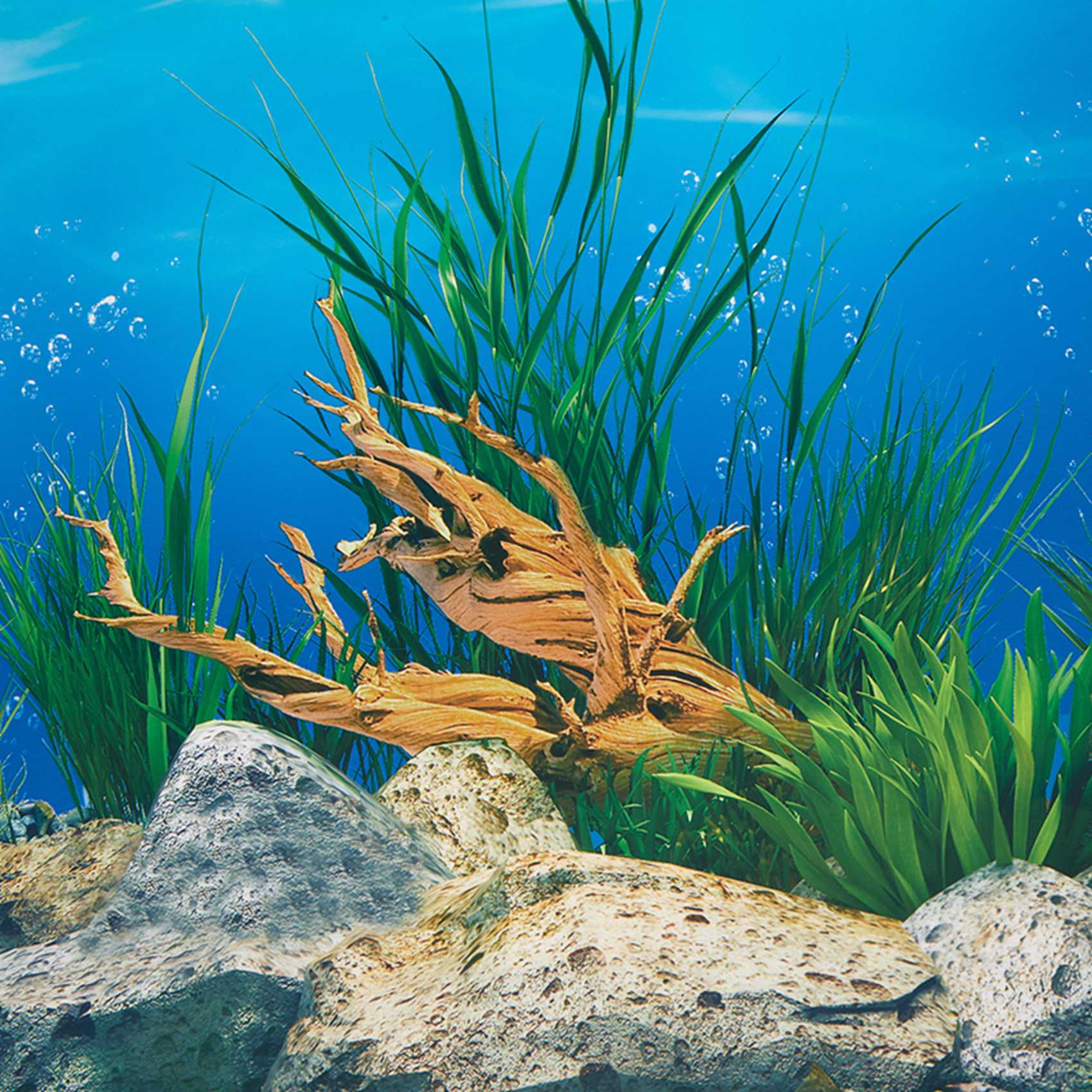 AB33-Kertas Latar Belakang Aku - Aquarium Fish Wallpaper Hd ulasan dan harga