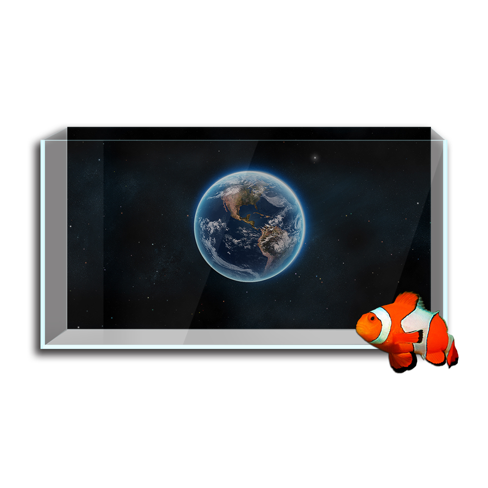 Stiker Latar Belakang Tangki I - Aquarium Fish Wallpaper Hd ulasan dan harga