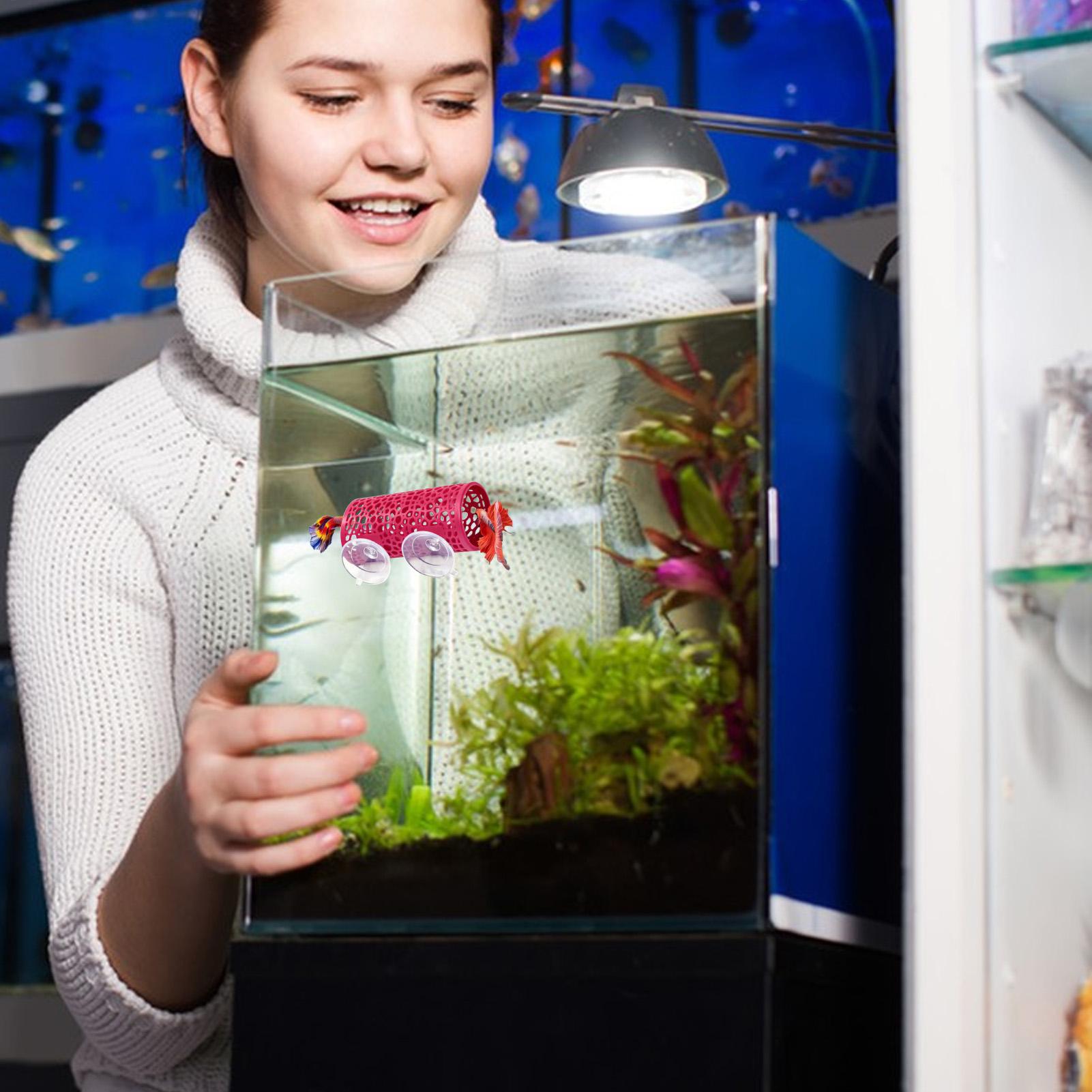 Tempat Persembunyian Ikan Bett - Aquarium Fish Small ulasan dan harga