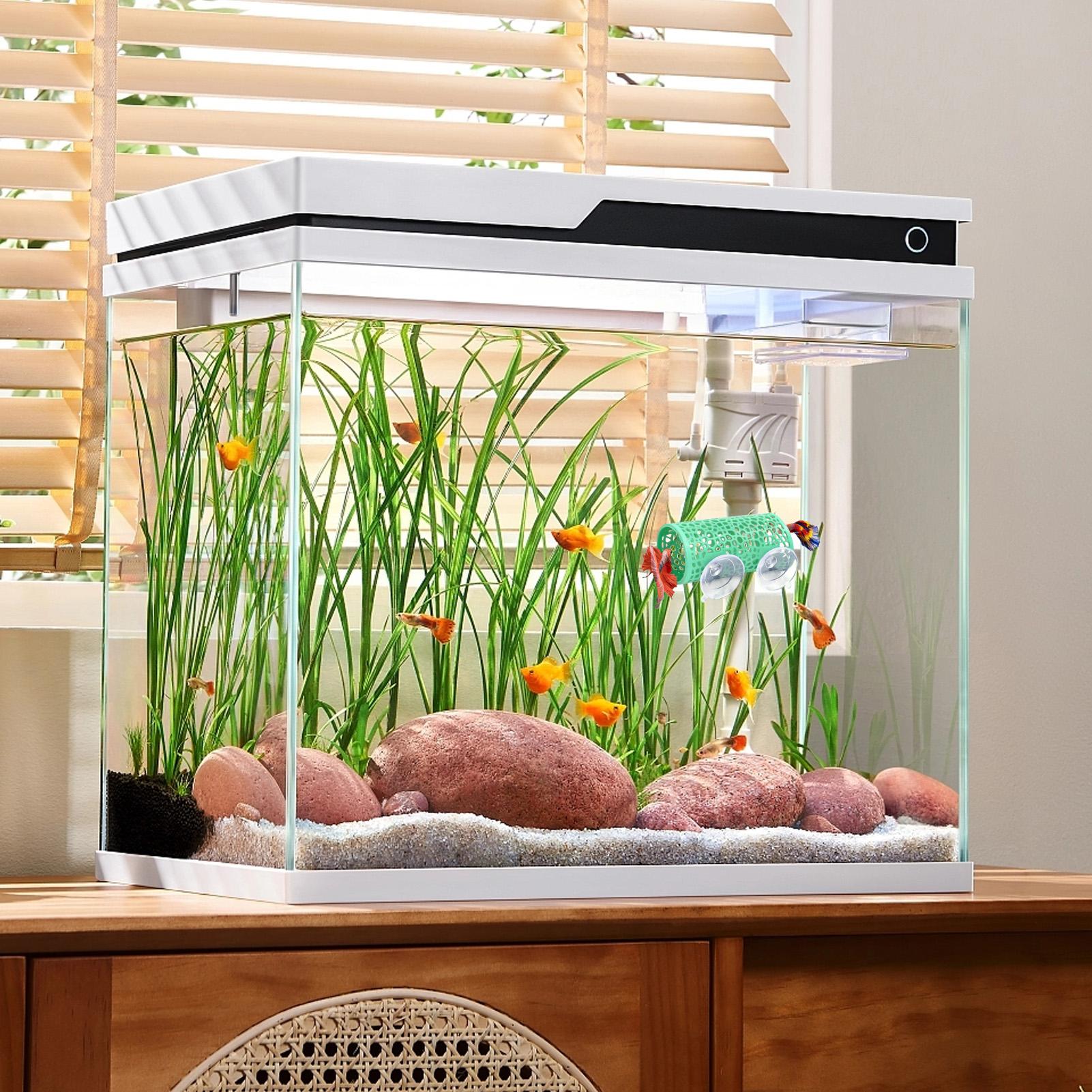 Tempat Persembunyian Ikan Bett - Aquarium Fish Small ulasan dan harga