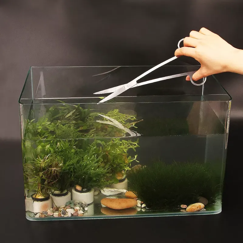 Perlengkapan Akuarium Populer, - Aquarium Fish Popular ulasan dan harga