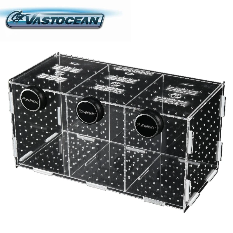 Tangki Ikan VASTOCEAN Kotak Is - Box Fish In Aquarium ulasan dan harga