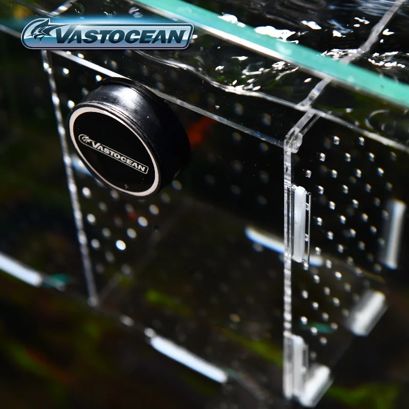 Tangki Ikan VASTOCEAN Kotak Is - Box Fish In Aquarium ulasan dan harga