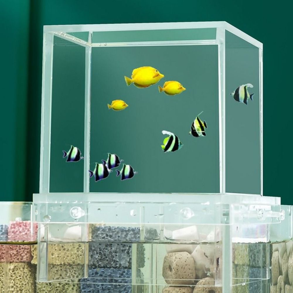 Akuarium Tekanan Negatif untuk - Aquarium Fish Medicine ulasan dan harga