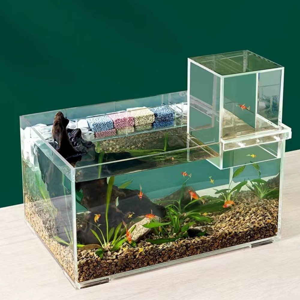 Akuarium Tekanan Negatif untuk - Aquarium Fish Medicine ulasan dan harga
