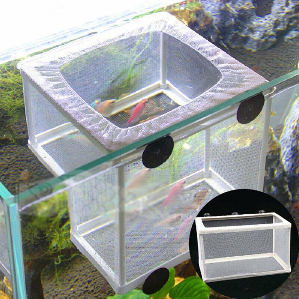 Kotak Pembiakan Ikan Akuarium  - Aquarium Fish Medicine ulasan dan harga