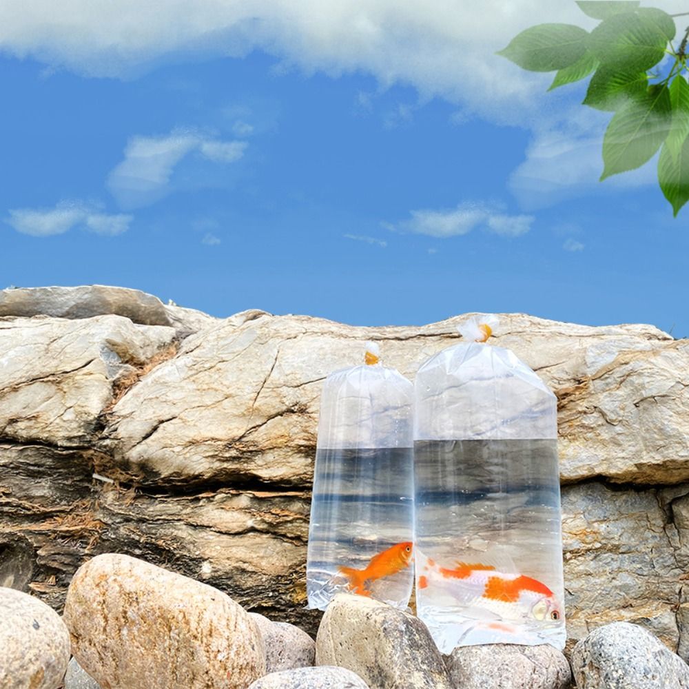 10 Buah Tas Pernapasan Akuariu - Aquarium Fish Delivery ulasan dan harga
