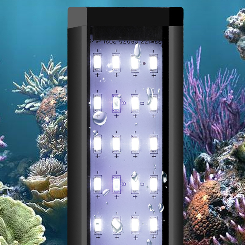 Lampu Akuarium LED Profesional - Aquarium Fish Photography ulasan dan harga