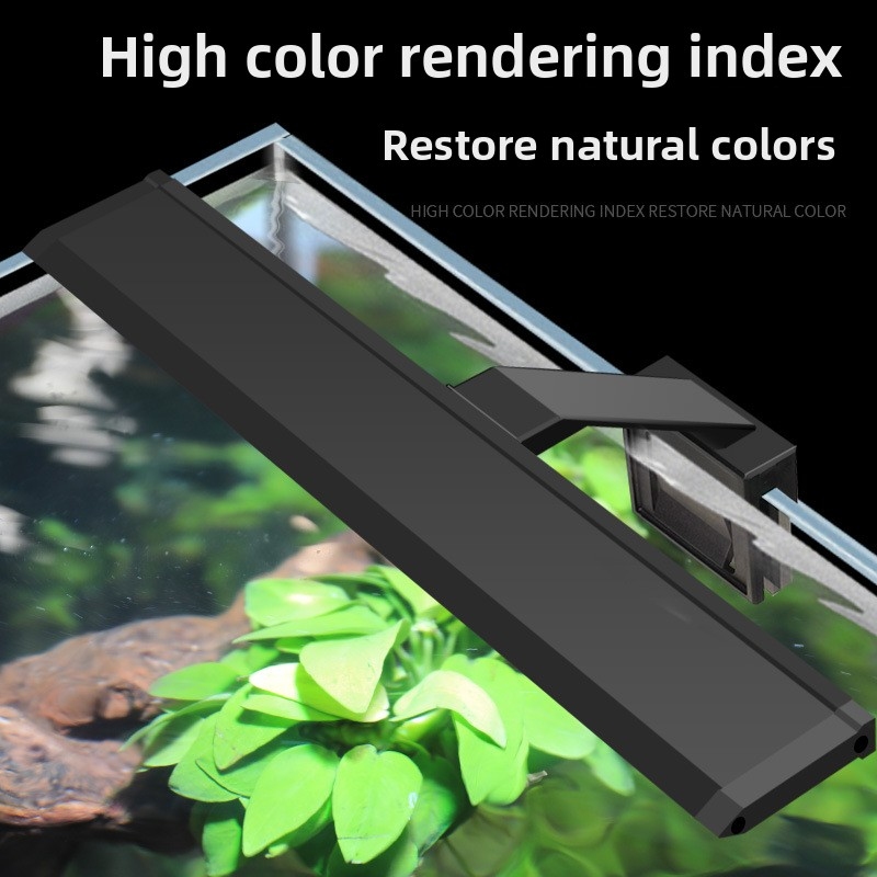 Lampu Akuarium LED Profesional - Aquarium Fish Photography ulasan dan harga