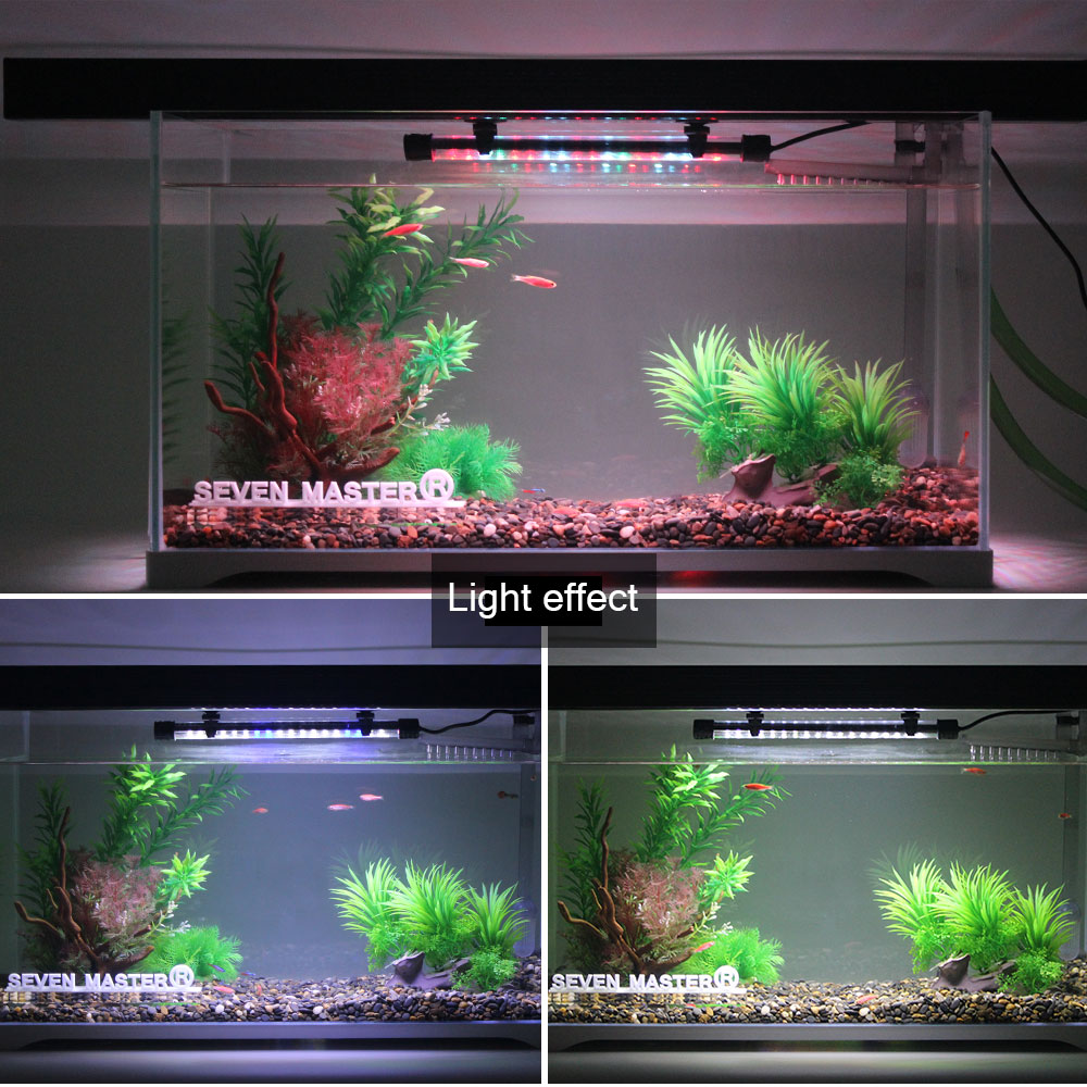 Lampu LED dekorasi akuarium, l - Aquarium Fish Photography ulasan dan harga