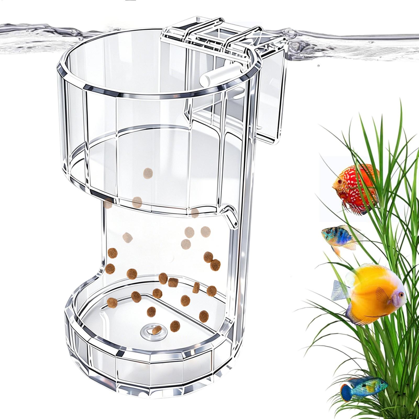 Wadah Makanan Transparan untuk - Aquarium Fish Holiday Food ulasan dan harga