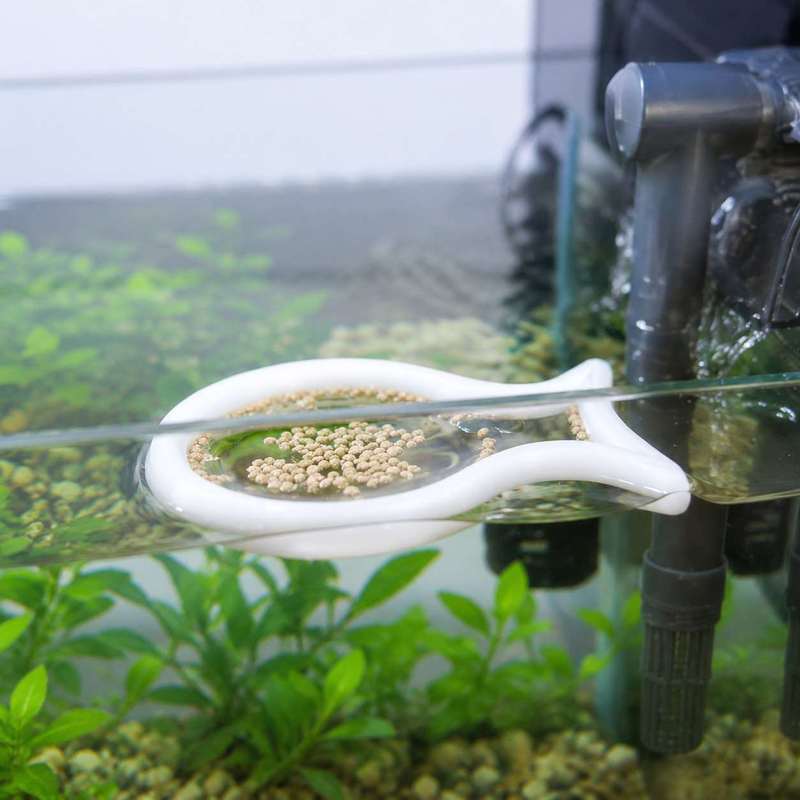 Cincin Makanan Ikan Berbentuk  - Aquarium Fish Medicine ulasan dan harga