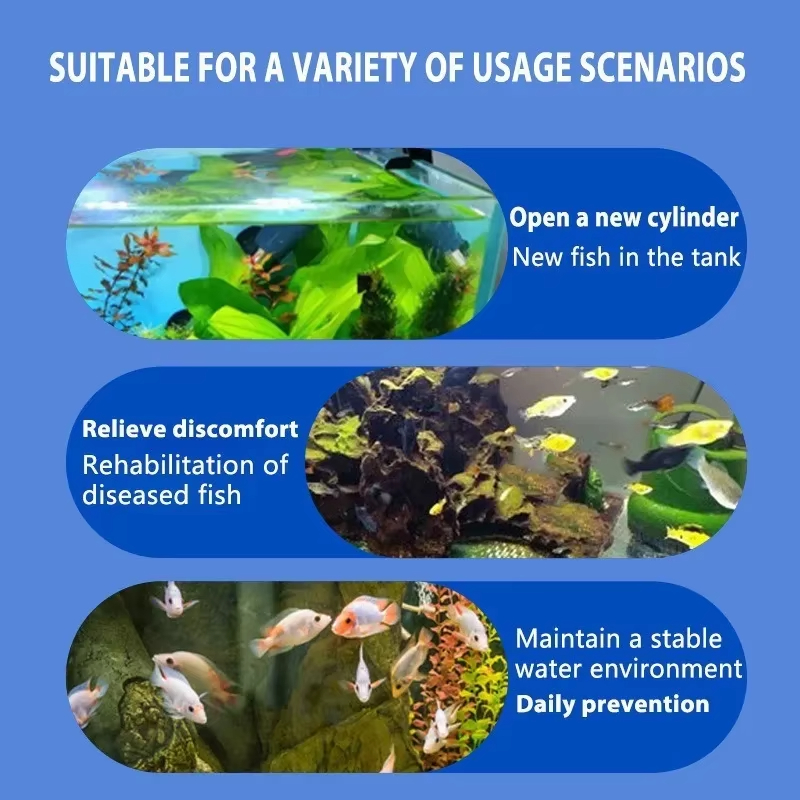 Perawatan Penyakit Ikan SIKEZH - Aquarium Fish Medicine ulasan dan harga