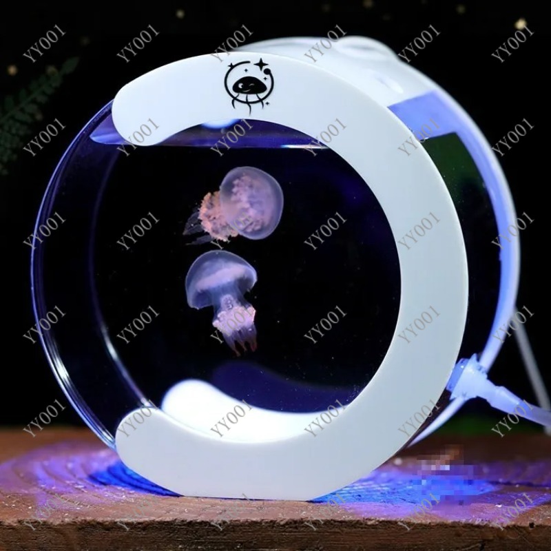 Akuarium Ubur-ubur Sirkulasi D - Aquarium Fish Small ulasan dan harga