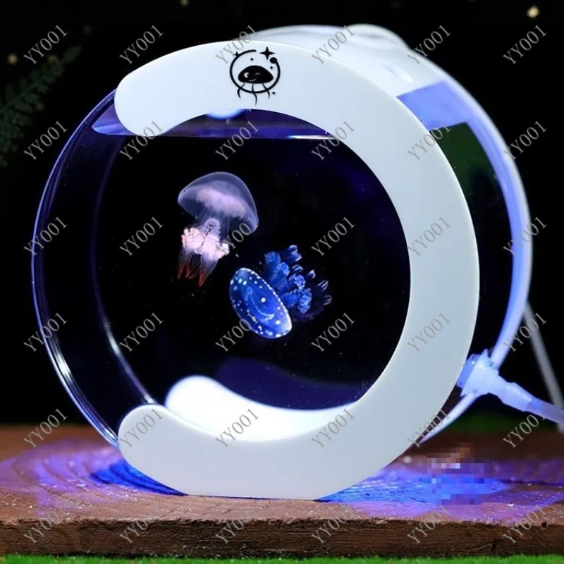 Akuarium Ubur-ubur Sirkulasi D - Aquarium Fish Small ulasan dan harga