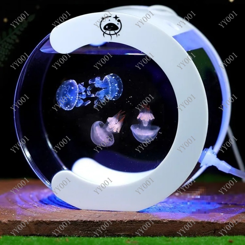 Akuarium Ubur-ubur Sirkulasi D - Aquarium Fish Small ulasan dan harga