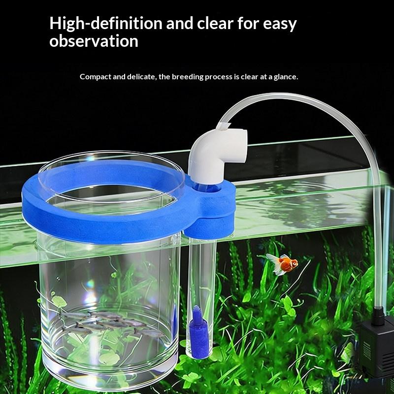 Kotak Pembenihan Ikan Akrilik  - Box Fish In Aquarium ulasan dan harga