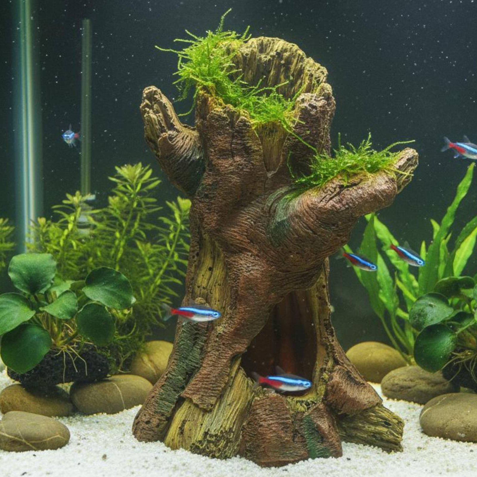 Dekorasi Lanskap Akuarium, Dek - Aquarium Fish Tank ulasan dan harga