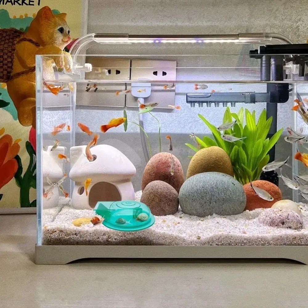 Perangkap Siput Akuarium Air T - Aquarium Fish Trap ulasan dan harga