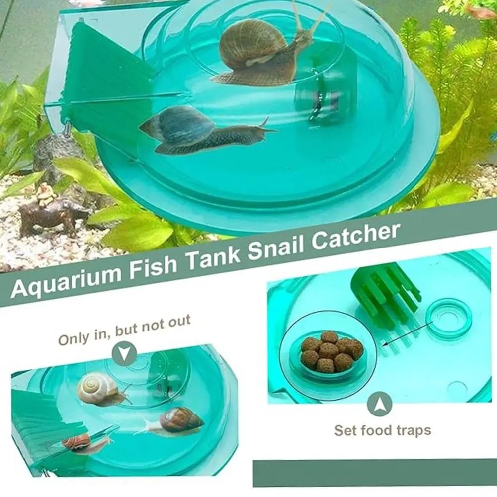 Perangkap Siput Akuarium Air T - Aquarium Fish Trap ulasan dan harga