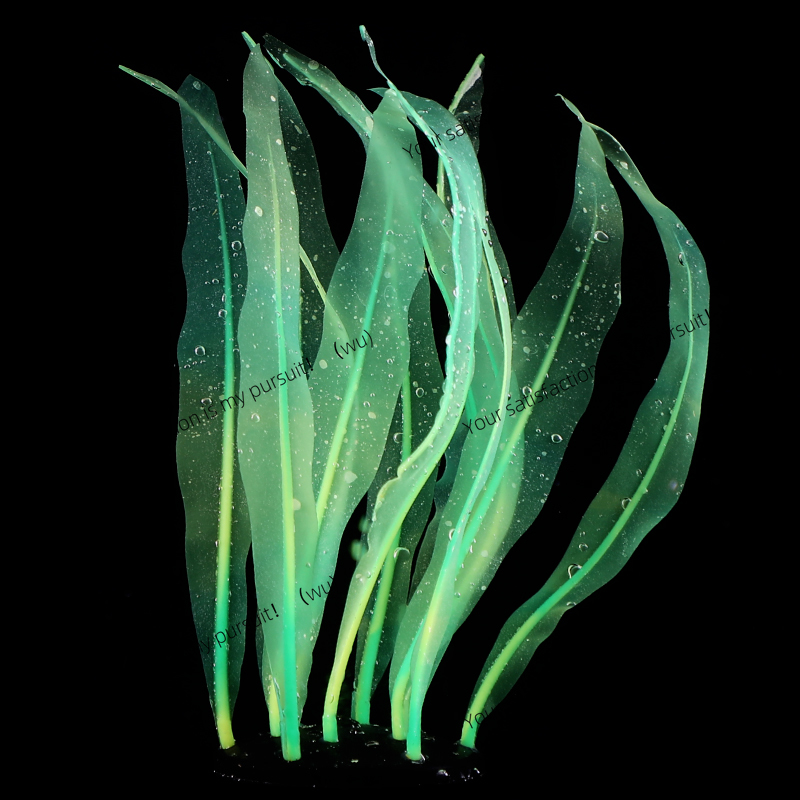 Dekorasi Tanaman Kelp Simulasi - Aquarium Fish Of The World ulasan dan harga