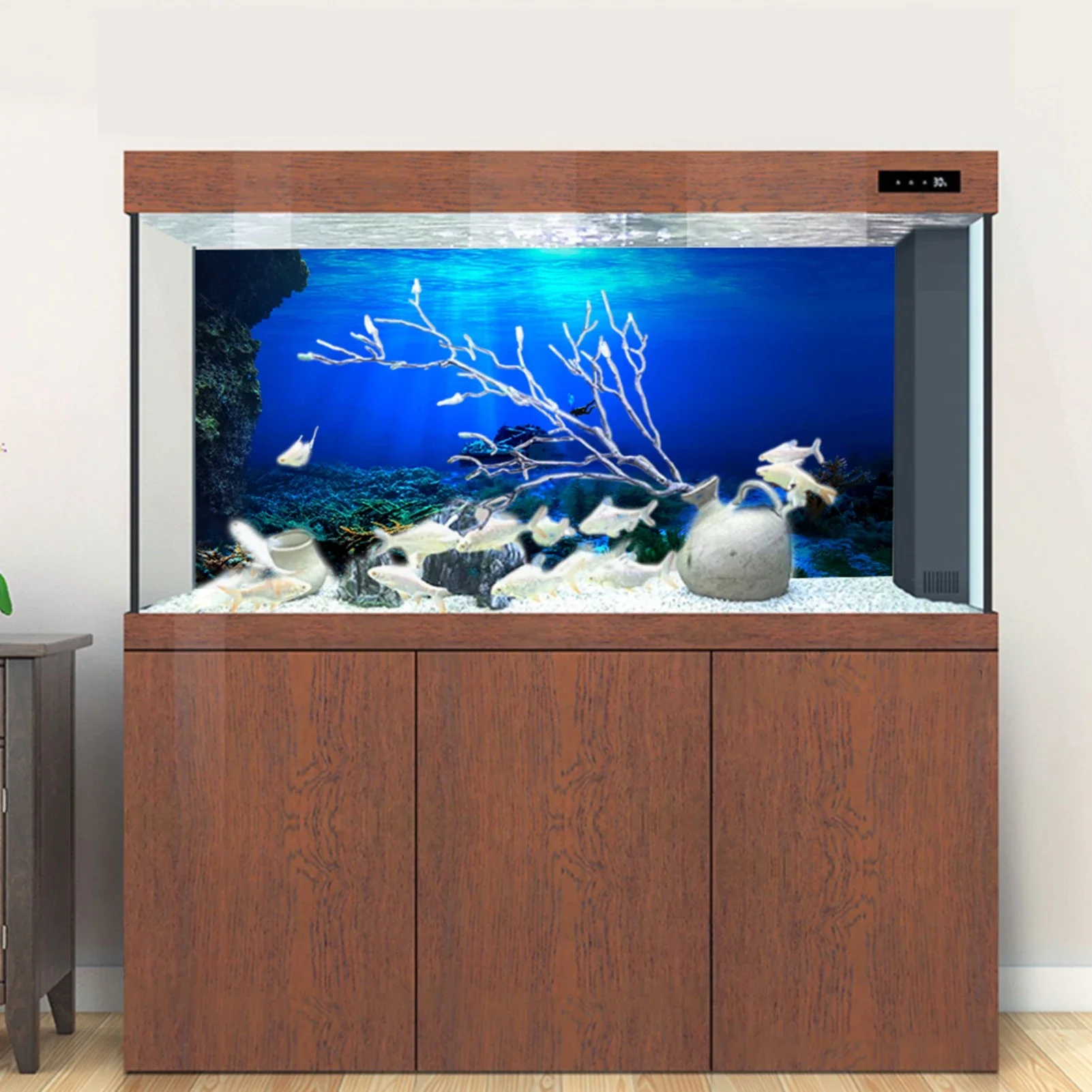 Hutan hujan akuarium Poster la - Aquarium Fish Of The World ulasan dan harga