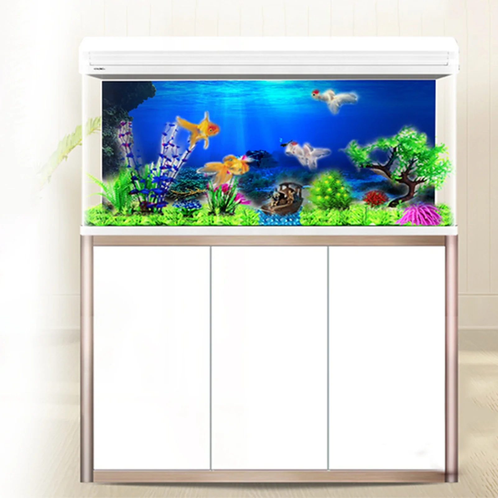 Hutan hujan akuarium Poster la - Aquarium Fish Of The World ulasan dan harga