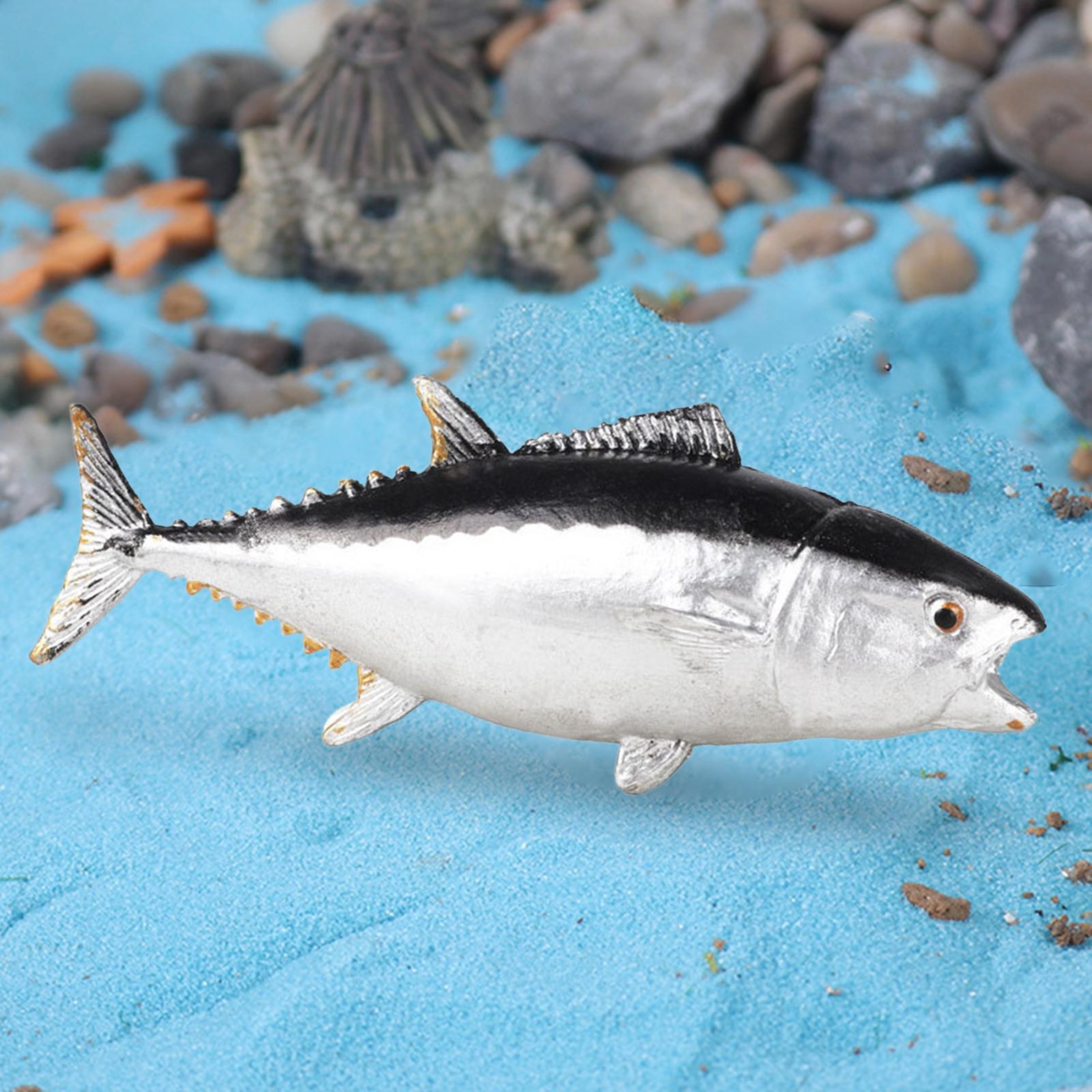 Dekorasi Akuarium Dekorasi Des - Aquarium Fish Small ulasan dan harga