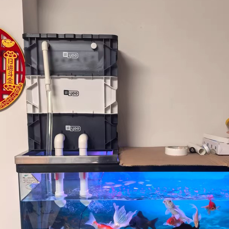 Filter Tangki Ikan Kotak Sirku - Box Fish In Aquarium ulasan dan harga