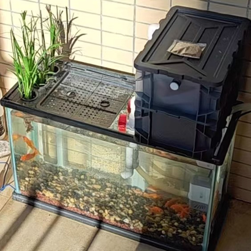 Filter Tangki Ikan Kotak Sirku - Box Fish In Aquarium ulasan dan harga