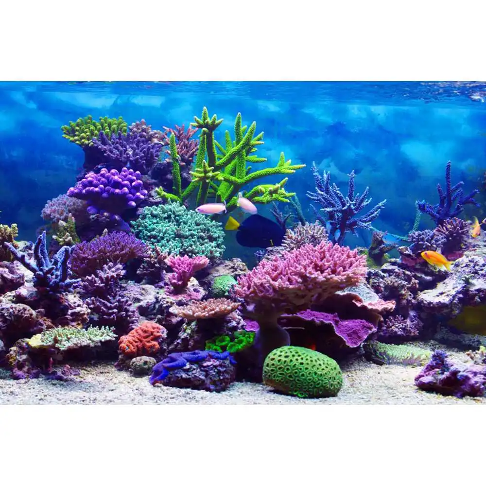 Latar Belakang Dunia Bawah Lau - Aquarium Fish Of The World ulasan dan harga