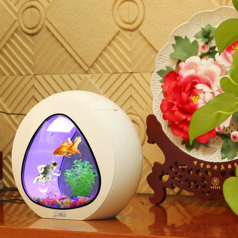 Akuarium meja kreatif Jialu, a - Aquarium Fish Delivery ulasan dan harga