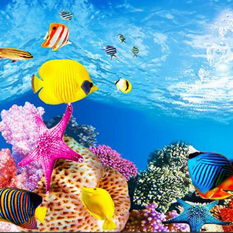 Latar Belakang Akuarium BAAU K - Aquarium Fish Wallpaper Hd ulasan dan harga