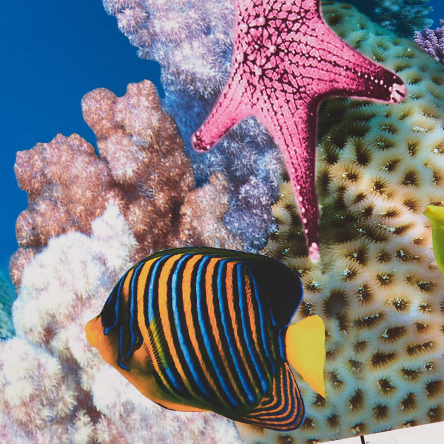 Latar Belakang Akuarium BAAU K - Aquarium Fish Wallpaper Hd ulasan dan harga