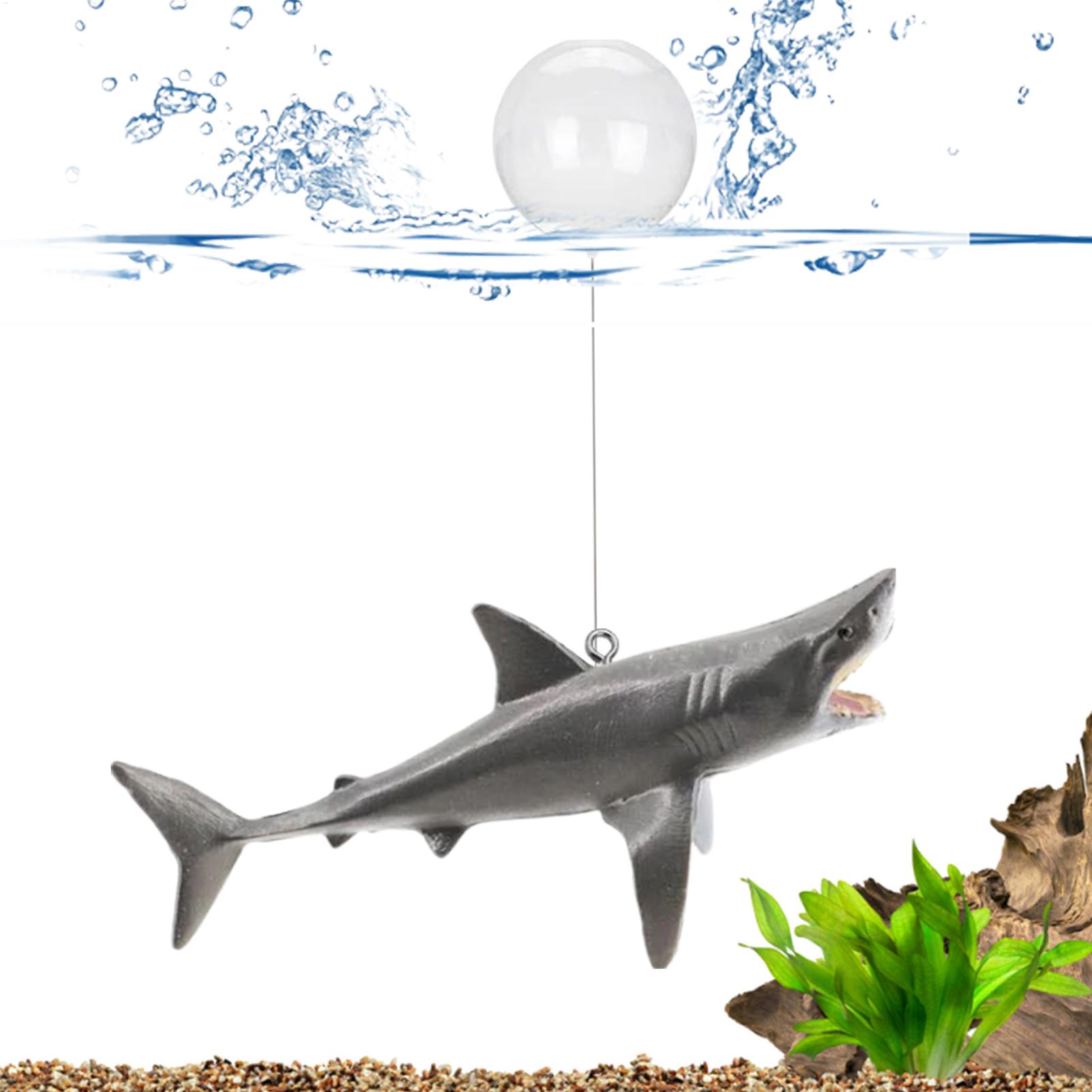 Dekorasi Lanskap Akuarium Hiu  - Aquarium Fish Shark ulasan dan harga