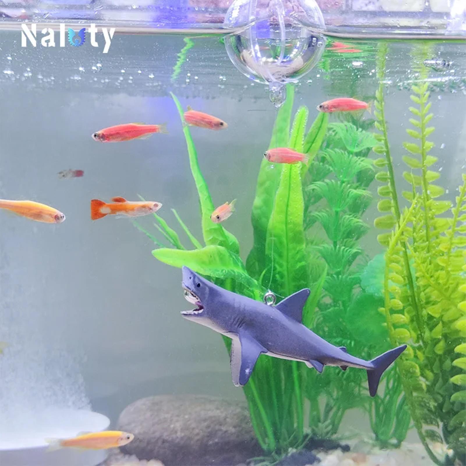 Dekorasi Lanskap Akuarium Hiu  - Aquarium Fish Shark ulasan dan harga