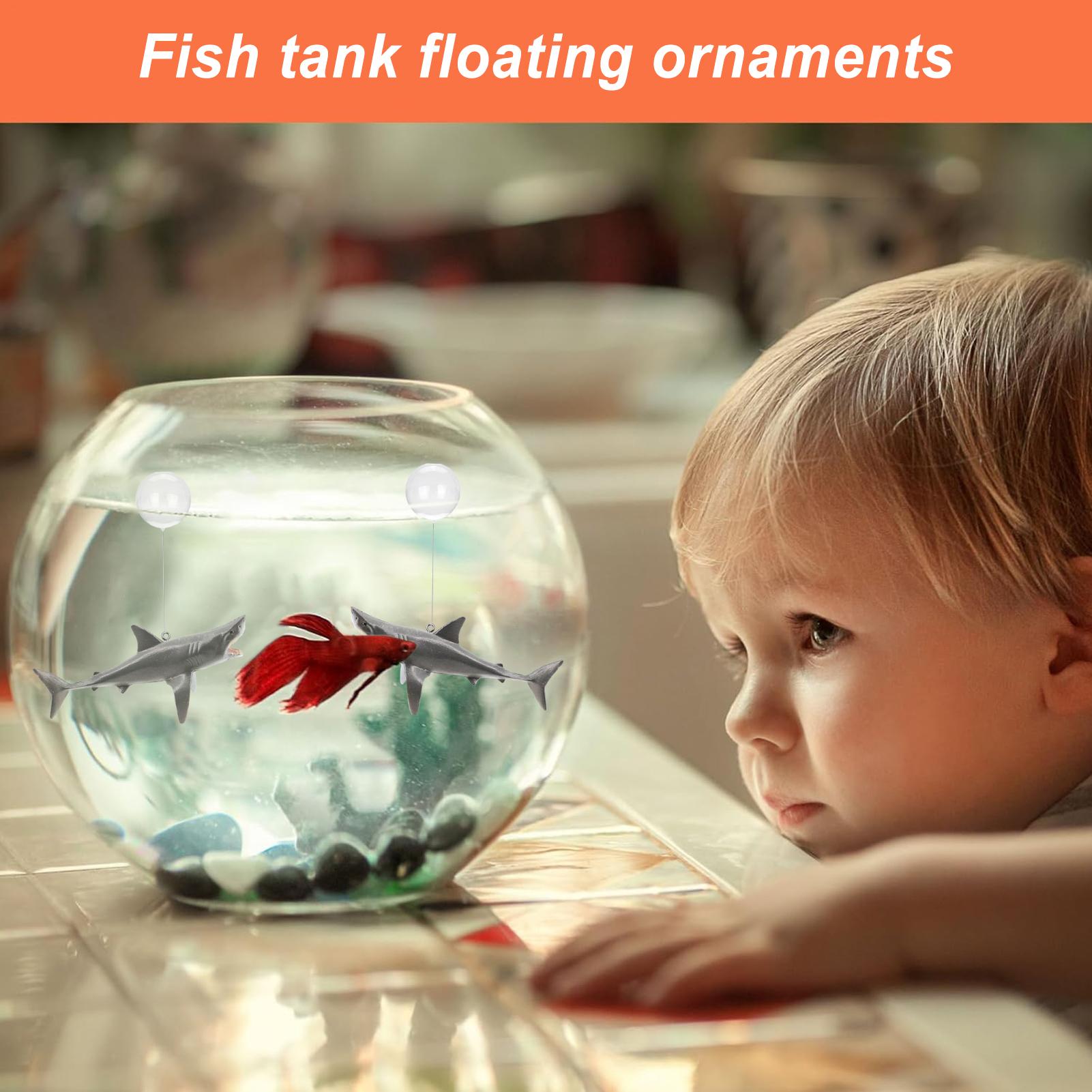 Dekorasi Lanskap Akuarium Hiu  - Aquarium Fish Shark ulasan dan harga